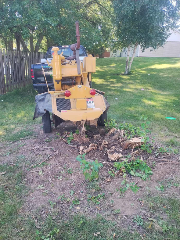 A yellow stump grinder removing a tree stump in a yard by Javier Medina Tree Service LLC in DrDenison, IA.