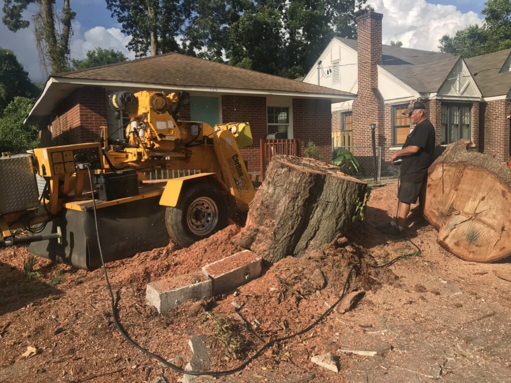 A large stump grinder actively removing a tree stump as part of a service by 706 Tree and Stump in Augusta, GA.
