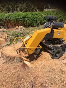 A professional stump grinder machine actively removing a tree stump, creating wood chips, for Branching Out Tree Service in Amityville, NY.