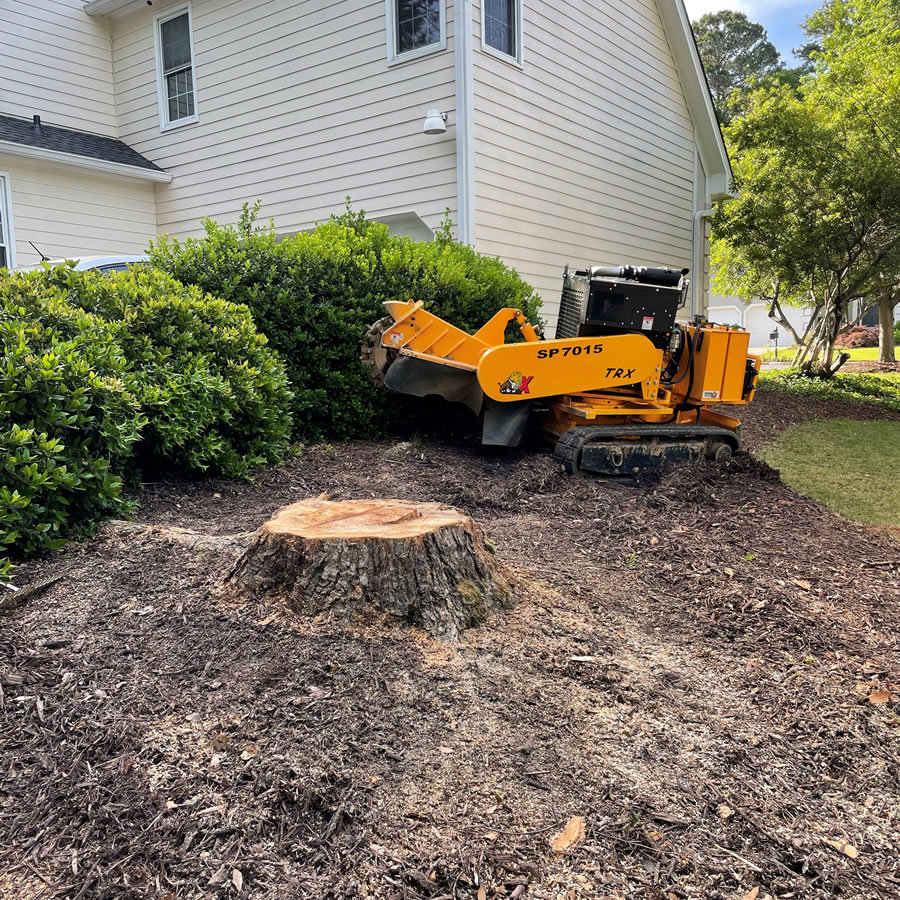 A stump grinder machine working on removing a tree stump for Frank's Tree Service in Davenport, IA.