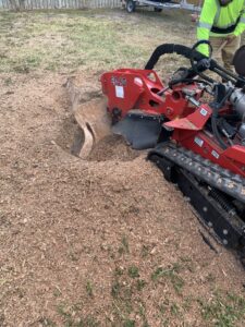 A stump grinder actively removing a tree stump, creating wood chips, by JRs PALM TREE SERV. in Corpus Christi, TX.