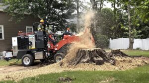 A stump grinder actively removing a large tree stump, creating wood chips for JTE & Company in Oxford, MA.