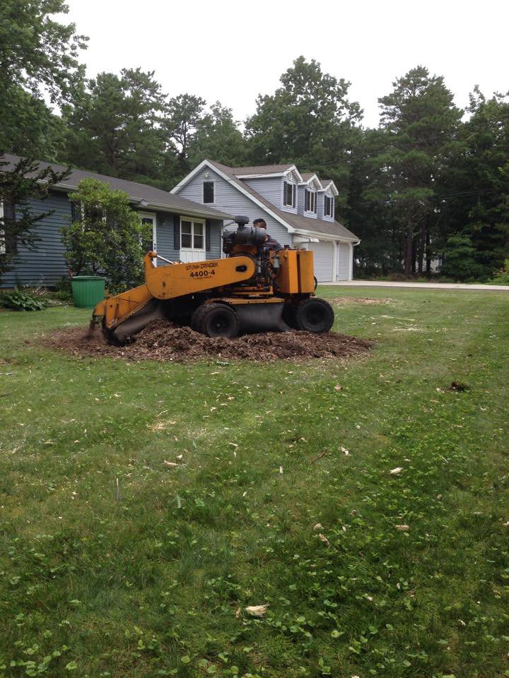 A powerful stump grinder actively removing a tree stump in a residential yard for Toms River Tree Service, LLC in Toms River, NJ.