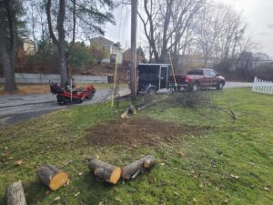 A stump grinder, truck with trailer, and cut logs on the ground after a tree service job by Grin & Grind Stump Removal LLC in Worcester, MA.