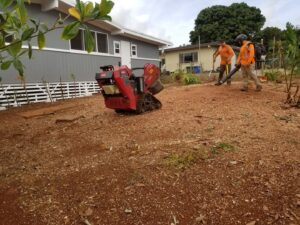 A stump grinder and workers cleaning up wood chips after tree service by Island Trees in Bethpage, NY.