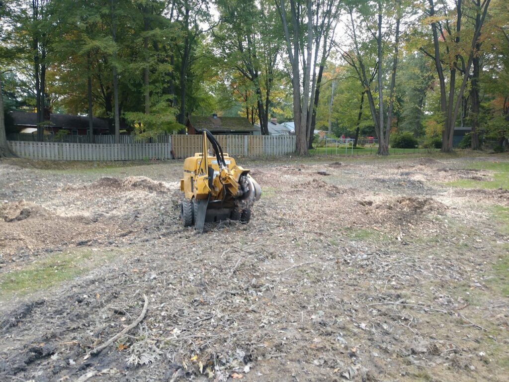 A yellow stump grinder working in a field covered with wood chips, indicating recent stump removal by Dave's Tree & Stump Removal LLC in Parma, OH.