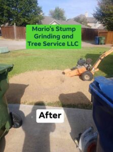 An "after" photo showing wood chips from stump grinding, with the grinder visible, by Mario's Stump Grinding and Tree Service LLC in Dallas, TX.