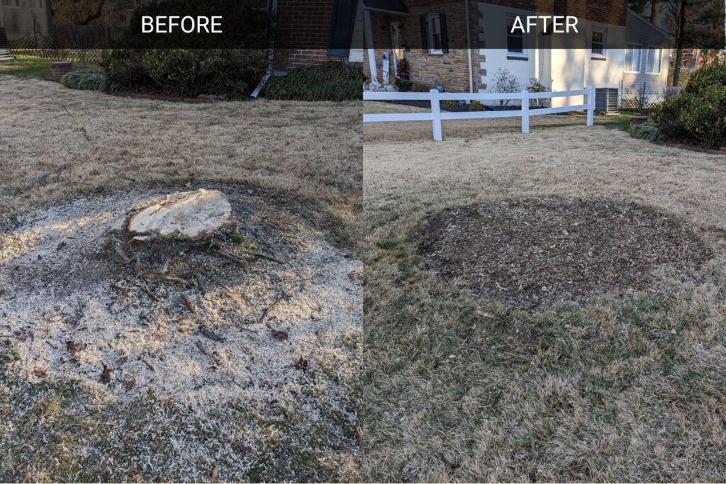 A before and after comparison showing a tree stump removed by grinding, a service provided by Grind Time Tree Service in Wilmington, DE.