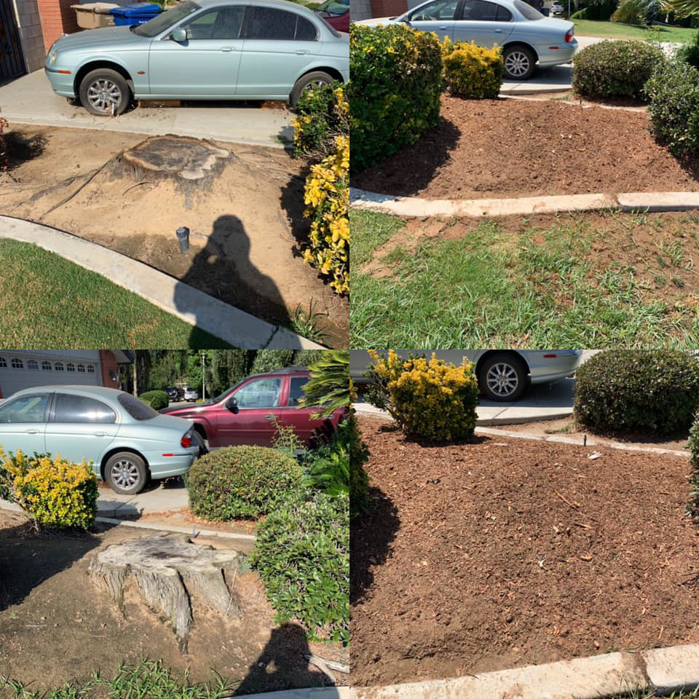 Before and after of a successful stump grinding and removal job by J.Flores Tree Service Inc in Bakersfield, CA