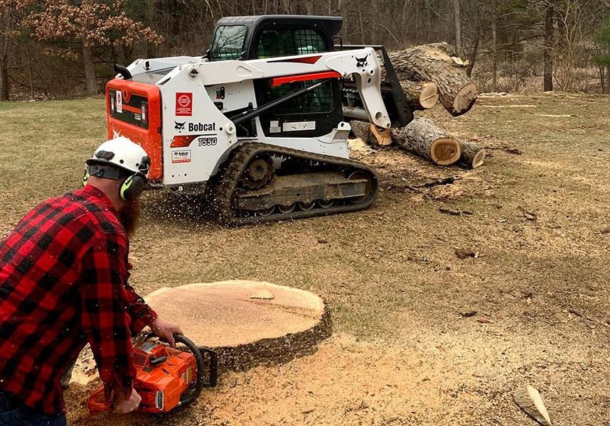 A worker grinding a tree stump with a chainsaw, with a Bobcat loader moving logs for Peoria Tree Experts in Peoria, IL.