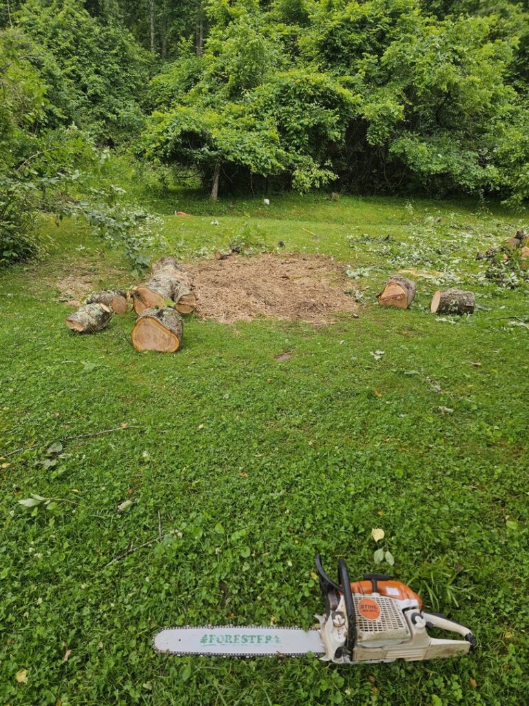 A cleared area with a stump and wood chips, showing stump grinding cleanup by Juarez Tree Service in Bawcomville, LA.