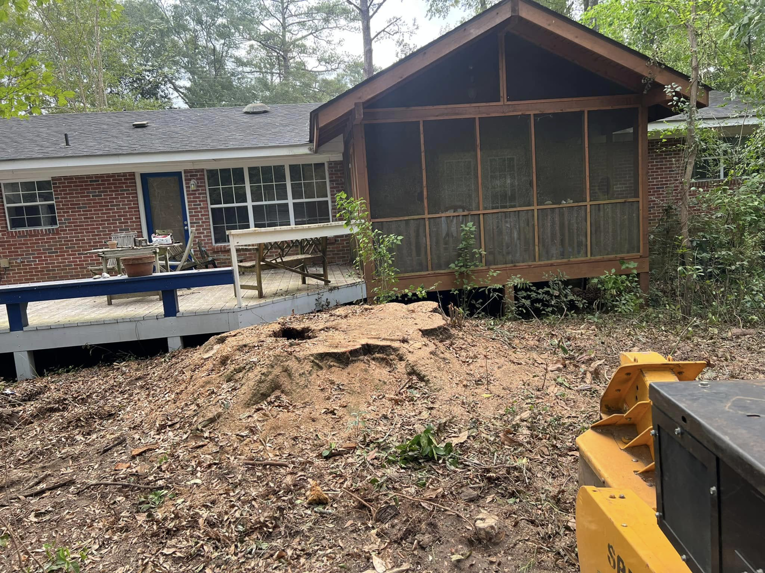 A large tree stump completely ground down with wood chips piled around it, showcasing work by Manley's Stump Grinding in Opelika, AL.
