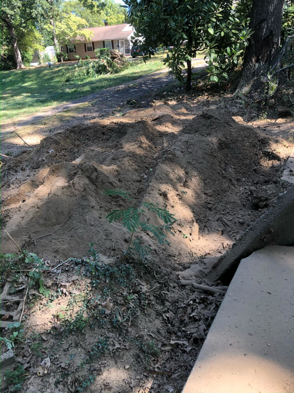 A pile of wood chips and soil, indicating recent stump grinding or tree removal by Skidmore's Tree Service in Winston-Salem, NC.