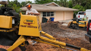Workers operating stump grinding equipment with the Tim's Tree Service logo visible in Cape Coral, FL