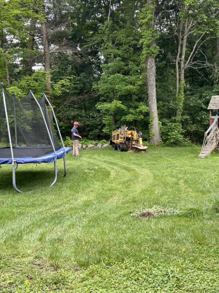 A stump grinder operating in a grassy backyard with a worker, performing stump removal for JR Mendez Tree Services and Masonry LLC in Lynn, MA.