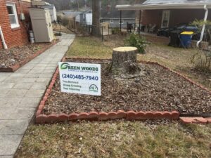 A completed stump grinding job with mulch and a business sign by Green Woods Sawmill & Tree service in Bowie, MD.