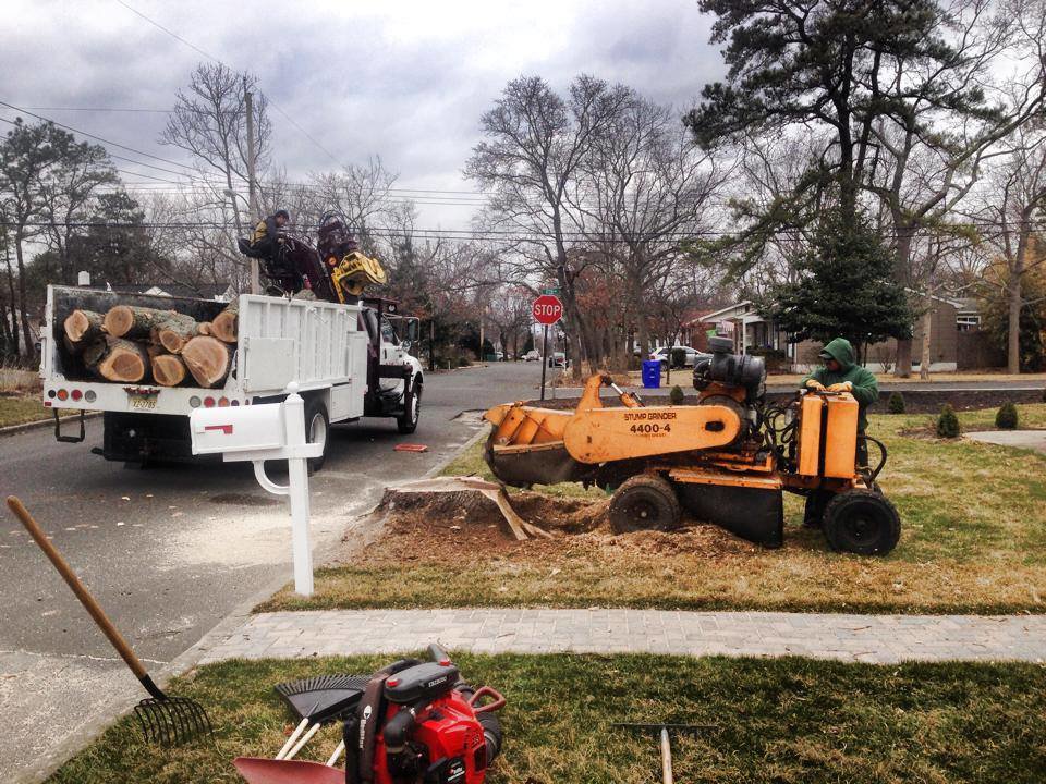 Stump grinding and log removal in progress on a residential street by Toms River Tree Service, LLC in Toms River, NJ.