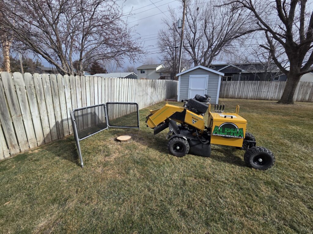 A professional stump grinding machine from Alpha Outdoor Services LLC at work on a residential property in Kearney, NE.
