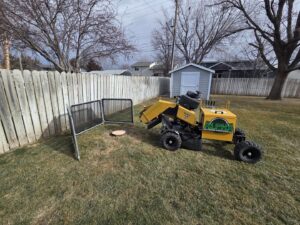 A professional stump grinding machine from Alpha Outdoor Services LLC at work on a residential property in Kearney, NE.