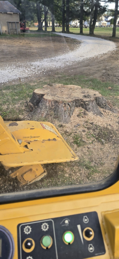 A stump grinding machine working on a large tree stump, showing wood chips, by Green works tree service in Columbus, OH.