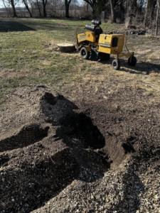 A stump grinding machine at work removing a tree stump for Superior Tree and Stump LLC in Topeka, KS.
