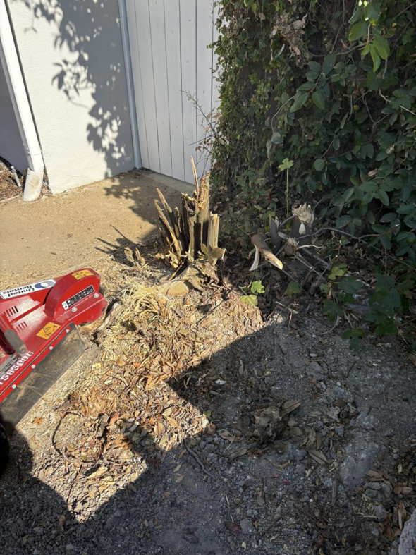 A stump grinding machine used for tree stump removal by Waste Unlimited Brush Clearance & Tree Service LLC in Los Angeles, CA.