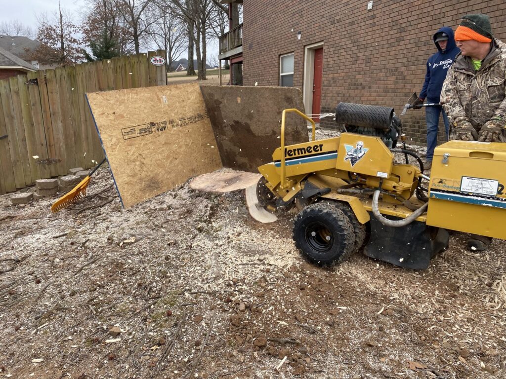 A stump grinding operation with workers and wood chips flying at a Liberty Tree job site in Fort Smith, AR.