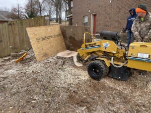 A stump grinding operation with workers and wood chips flying at a Liberty Tree job site in Fort Smith, AR.