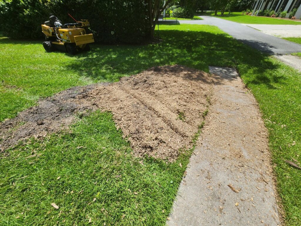 A stump grinder actively working on a tree stump, creating wood chips, demonstrating stump grinding service by Ayla Tree Service in Bloomingdale, GA.