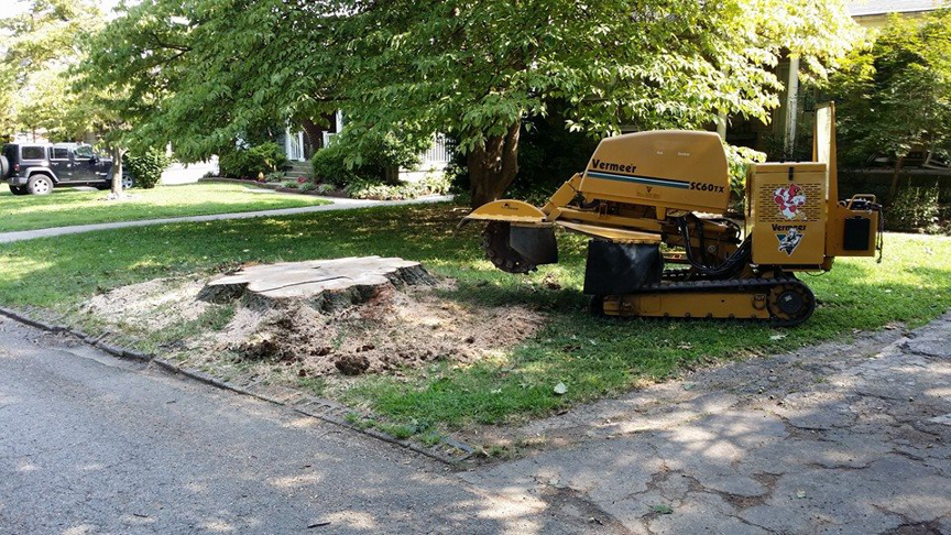 A stump grinder next to a freshly ground tree stump, showing stump removal by Climb-Ax Tree Service in Louisville, KY