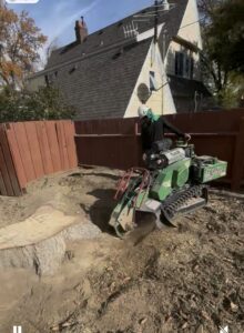 A worker operating a stump grinder for Elevation Tree Service LLC - Magic Valley in Salt Lake City, UT.