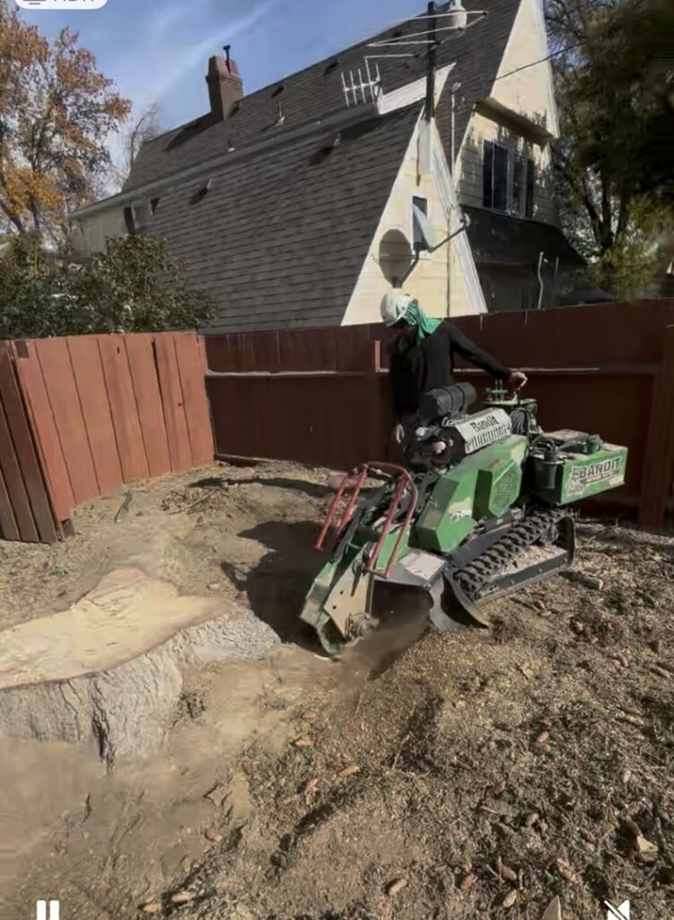A worker operating a stump grinder for Elevation Tree Service LLC - Magic Valley in Salt Lake City, UT.
