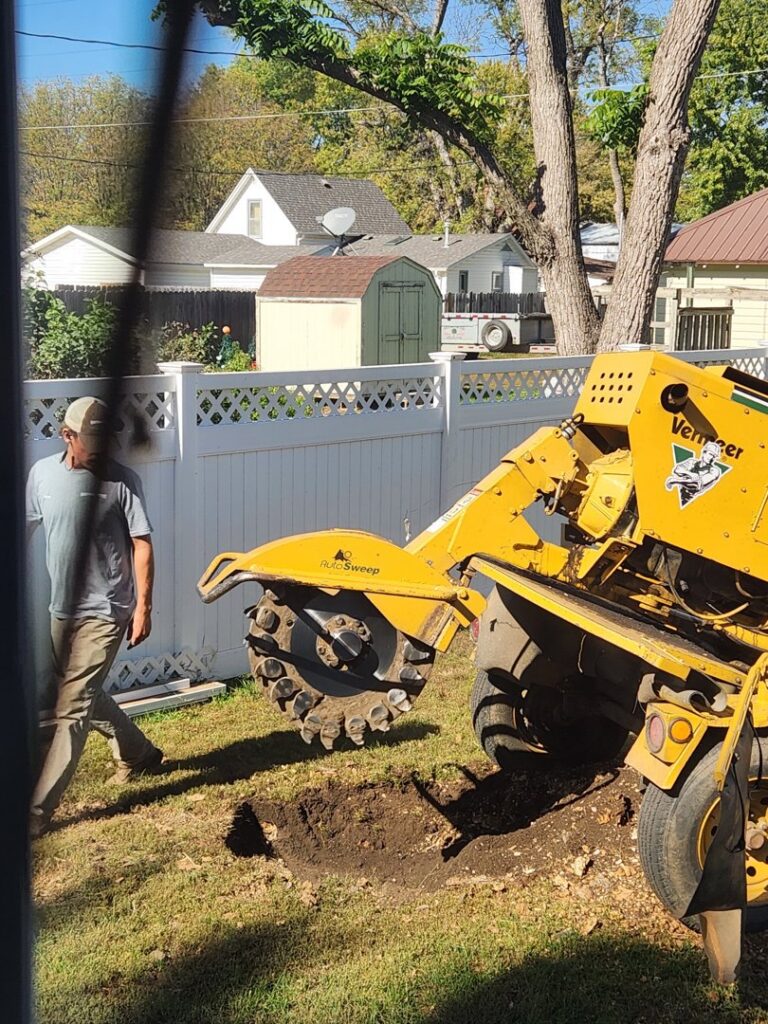 A professional operating a stump grinder to remove a tree stump for Hartington Tree in Yankton, SD.