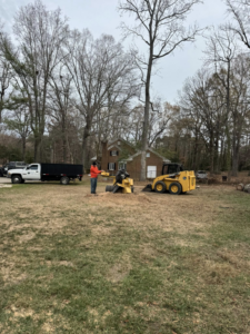 A worker operating a stump grinder with a skid steer nearby, performing stump removal for J-1 tree Service in Raleigh, NC.
