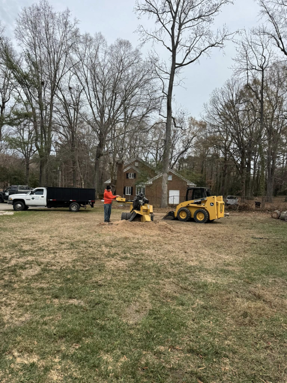 A worker operating a stump grinder with a skid steer nearby, performing stump removal for J-1 tree Service in Raleigh, NC.
