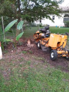A powerful stump grinding machine in action, providing efficient stump removal service by MJ'z Tree and Landscaping Service LLC in Fort Lauderdale, FL.