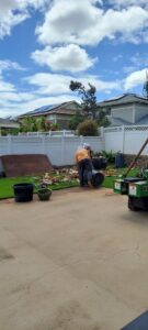 Two tree service workers operating a stump grinder on a residential lawn for Ohana Tree Services in Mililani, HI.