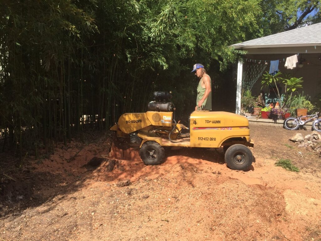 A tree service professional operating a stump grinder to remove a tree stump, creating wood chips in Austin, TX by Ozark of Austin.