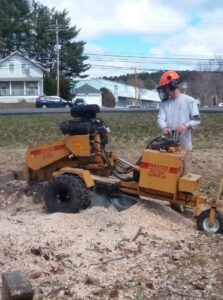A worker operating a Rayco stump grinder for Bryan McFadden LLC Tree Surgeon in Auburn, ME.