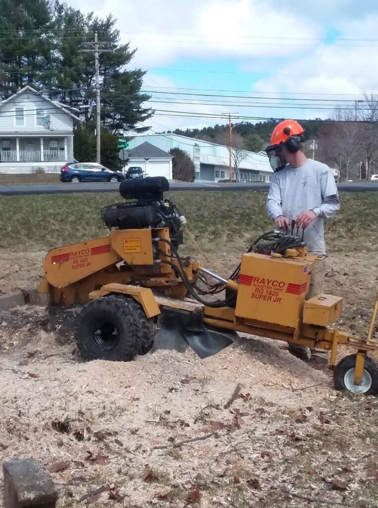 A worker operating a Rayco stump grinder for Bryan McFadden LLC Tree Surgeon in Auburn, ME.