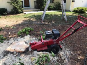 A stump grinder actively working on a tree stump, providing stump grinding service by Rothman Tree Service in Des Moines, IA.