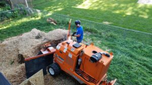 A tree service worker operating a large stump grinder to remove a tree stump for South "O" Tree and Stump in Omaha, NE.