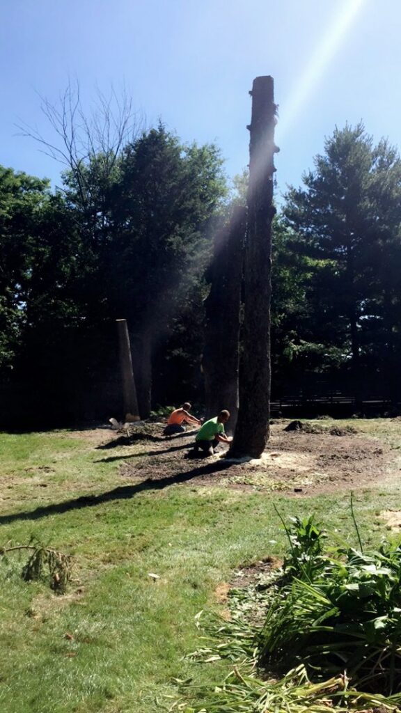Tree service professionals performing stump grinding with specialized equipment for Top Notch Tree Care in Holt, MI.