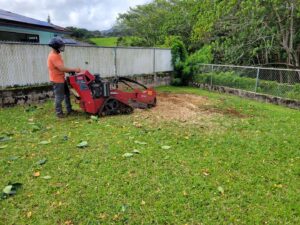 A tree service worker operating a stump grinder in a residential yard for Island Trees in Bethpage, NY.