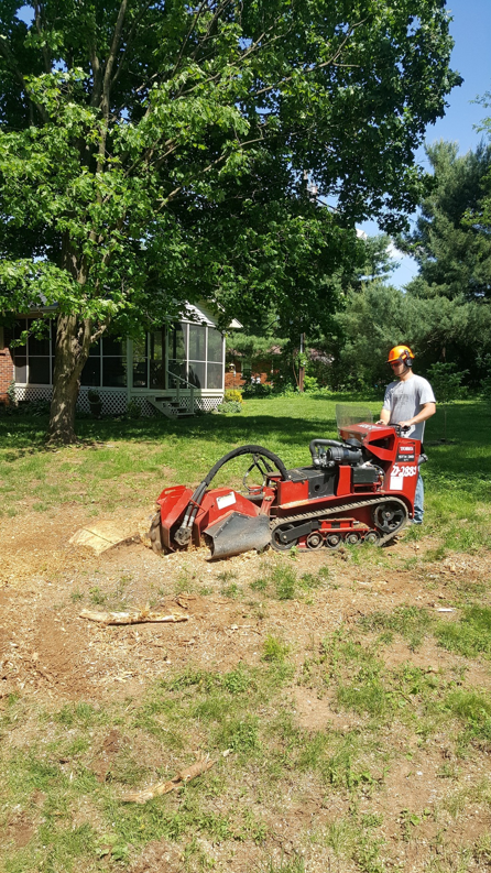 A worker operating a stump grinding machine for Georgetown Tree and Stump Service in Georgetown, KY