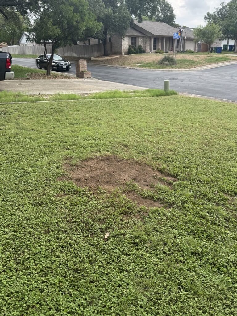 A patch of disturbed earth in a grassy lawn, indicating a completed stump grinding service by Handyman 210 Tree Service in San Antonio, TX.