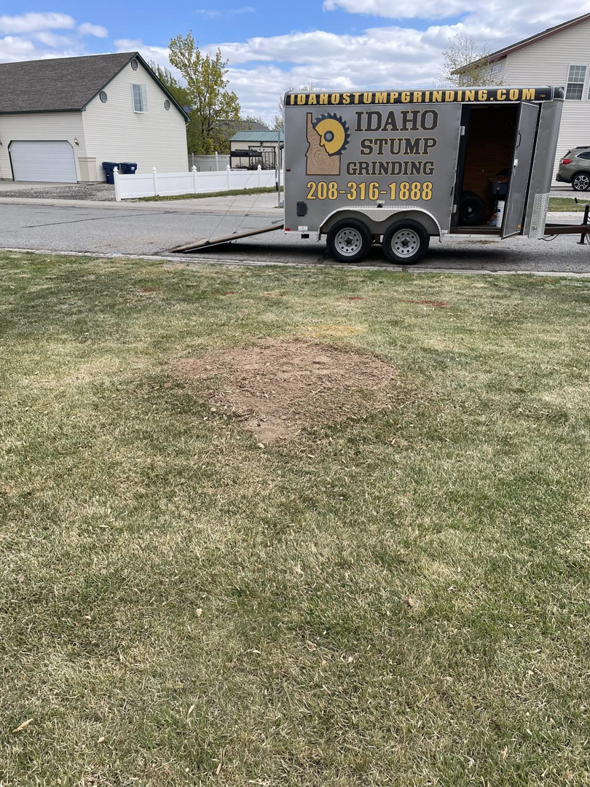 A residential lawn showing a stump grinding site with the Idaho Stump Grinding trailer in the background in Twin Falls, ID.