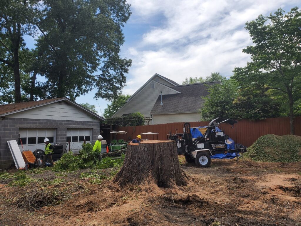 A large tree stump in the foreground with workers and a wood chipper in the background by Triad Tree Removal LLC in Greensboro, NC.