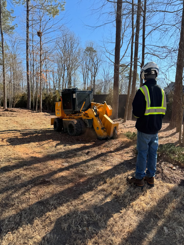 A TSR Tree Service, LLC worker in safety gear operating a stump grinder in Wake Forest, NC.