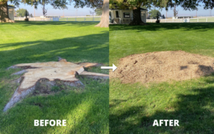 Before and after of a tree stump removal service by All Pro Tree Service in State College, PA.